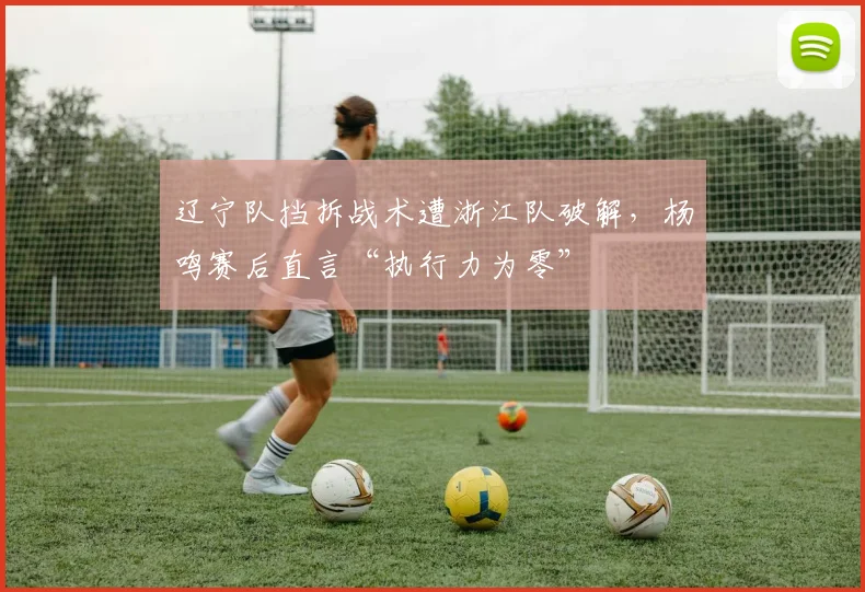 辽宁队挡拆战术遭浙江队破解，杨鸣赛后直言“执行力为零”